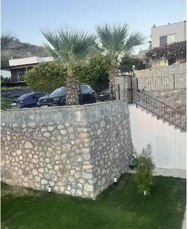 Mercan