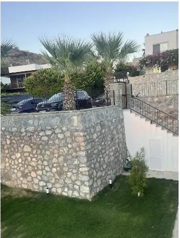 Mercan