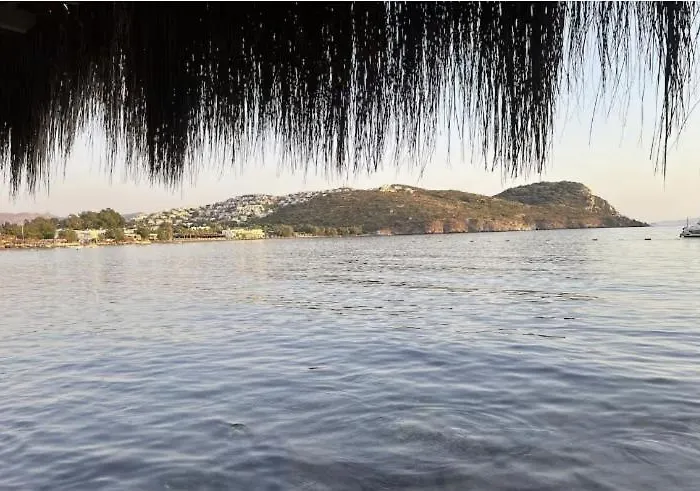 Mercan * בודרום