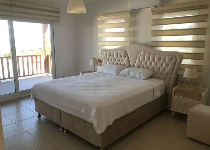 Mercan Bodrum